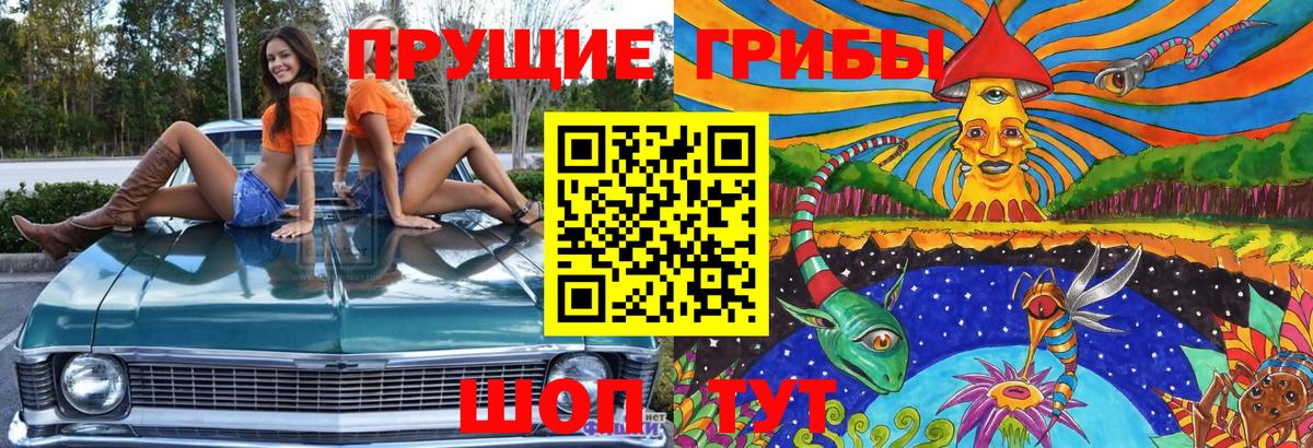 Санкт-Петербург  что такое наркотик  Вход с VPN  Галлюциногенные грибы мухоморы  Псилоцибиновые грибы мицелий 